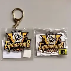 Item thumbnail for item 4459a3d3-8b16-41ba-90f5-7ca8069bfd0b