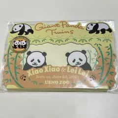 パンダ　上野動物園 シャオシャオ&レイレイ フレームメモ