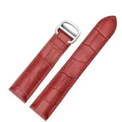 Item thumbnail for item 1f3fa1e3-1da4-468a-ab7b-fc64f048df80