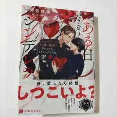 BL　ある日いきなりシンデレラ ～スーパースターアルファとスキャンダラスな密愛～