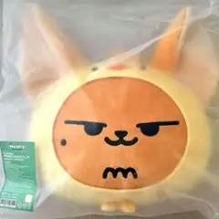 PPULBATU プルバトゥ HWANGCHOON ファンチュン　クッション PPULBATU ファンチュン フェイス クッション 【公式】① - メルカリ