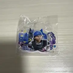 ガチャキング　田宮裕涼　アクリルバッチ