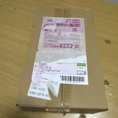 ポケモン　スペシャルBOX トウホク　未開封