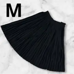 Item thumbnail for item e46e4230-aea1-4736-95ea-64a99280eee1