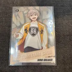 WINDBREAKER クリアカードコレクション2 兎耳山丁子