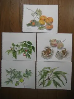 原画　季節の木の実（その２）水彩画５点