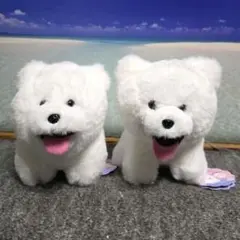 サモエド しっぽがぶんぶんぬいぐるみ 全種セット タイトー限定