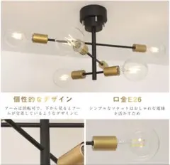 個性的なデザイン シーリングライト E26