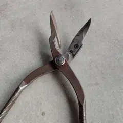 東北エスパル エグリ