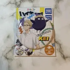 ハイキュー　缶バッジ　マスコット　月島蛍　トレーディング　烏野　カラパレ