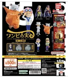 未開封　ワンピの実　第十五海戦　カク