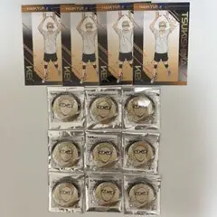 ハイキュー　ユース・疑似ユース合宿フェア　缶バッジ　ポストカード　月島蛍