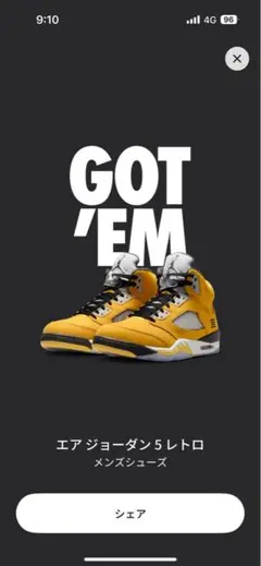 Air Jordan 5 Retro "Tokyo 23"