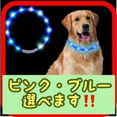 ❤️大人気❤️新品 ピンク用 光る首輪 LED USB充電式 調整可能 軽量
