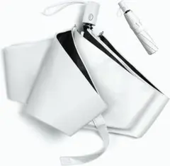 Item thumbnail for item 5d767099-0090-41de-ad66-427294feeb4c