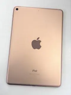 ❺ iPad mini 5 ★64G ゴールド