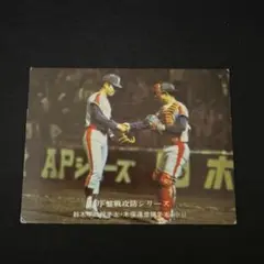 m33958357897_1.jpg?1750157175