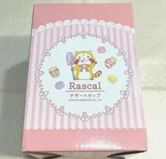 Rascal ラスカル デザートカップ