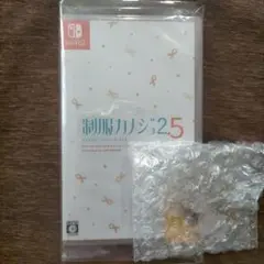 特典付き制服カノジョ2.5 Nintendo Switch　メロンブックス