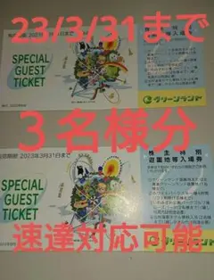最新です【 3枚 】三井グリーンランド 株主優待券 入場券 入園券 3枚です