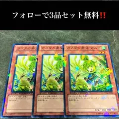 A1736 遊戯王　ガスタの希望　カムイ3枚セット