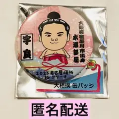大相撲 名古屋場所 IGアリーナ 限定 缶バッジ 宇良 木瀬部屋