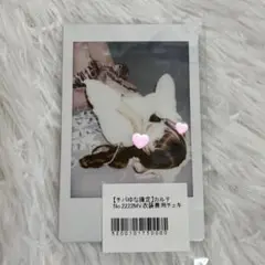 Item thumbnail for item 7812b599-ab44-44fc-bb43-7cfd30d2b1b4