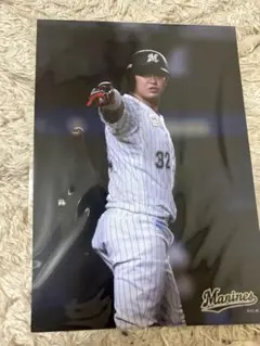 千葉ロッテマリーンズ　佐藤都志也　A4フォト