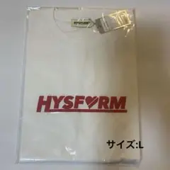 値下げ　Hysform Chocolate Tシャツ Lサイズ HS LOGO T-shirt（BLACK） - Hi-STANDARD OFFICIAL WEB STORE