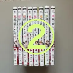 【2口発送②】離婚は致し方ありません！全巻セット