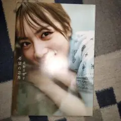 乃木坂46 北野日奈子2nd写真集(オークション専用)