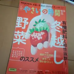 やさいの時間 10-11月号2024年USED