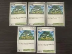 ポケモンカード　活力の森　ノーマル　5枚セット