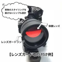 限界値下げ！Aimpoint pro 実物