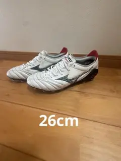 モレリアネオ3 26cm