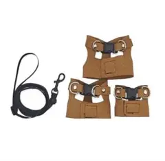 Item thumbnail for item e9fe3932-214e-4700-9957-d0f412f8766f