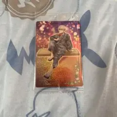 WIND.BREAKER ウィンドブレーカー ウィンブレ ウエハース カード