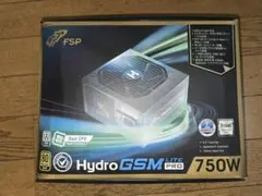 FSP Hydro GSM Lite Pro 750W 750W電源　中古品