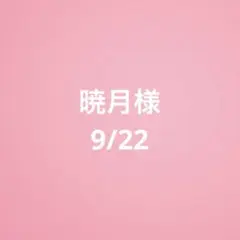 ブックカバー　文庫本　猫と本