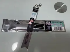 千葉ロッテ マッチデーボンフィン ソト 99
