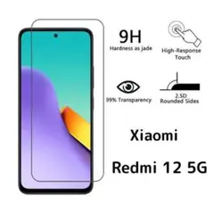 ガラスフィルム Xiaomi Redmi 12 5G 1枚 nP