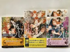 式神の名は、鬼●全3巻●夜光花●イラストカード付き●BL小説●3冊セット●送料込