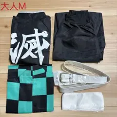 Item thumbnail for item 812e8515-a351-416f-9490-0f99599ee5c8