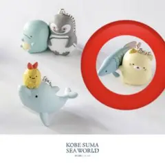 すみっコぐらし　神戸須磨シーワールド限定　ピラクルとねこ　ガチャガチャ