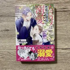 ちびヨメは氷血の辺境伯に溺愛される 初恋