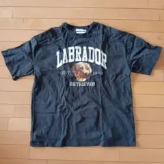 Labrador Retriever Tシャツ Lサイズ ブラック
