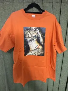 値下げ中！美品！1回着用！泉麻那　Tシャツ　DWAG alu　avalanche 2025年最新】泉麻那 tシャツの人気アイテム - メルカリ