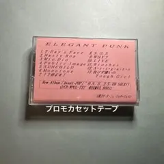 ELEGANT PUNK / Avant・POP