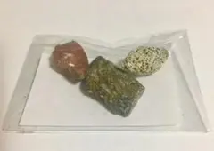 恐竜化石