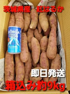 茨城県産 新物 紅はるか 箱込み9kg サツマイモ 芋 1